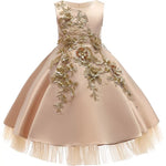 Tulle Princess Evening Gowns for Girls